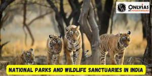 National Parks and Wildlife Sanctuaries in India