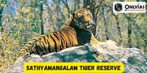 Sathyamangalam Tiger Reserve