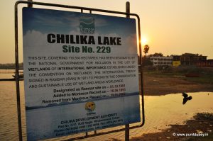 Chilika Lake Bird Sanctuary