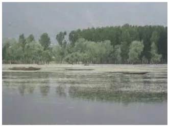 Lakes in India