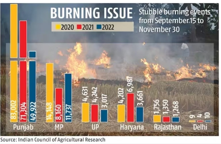 Stubble Burning 