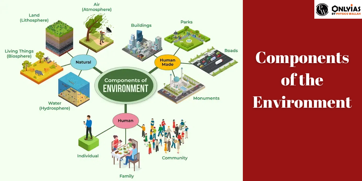 Components of the Environment, Biotic And Abiotic Components