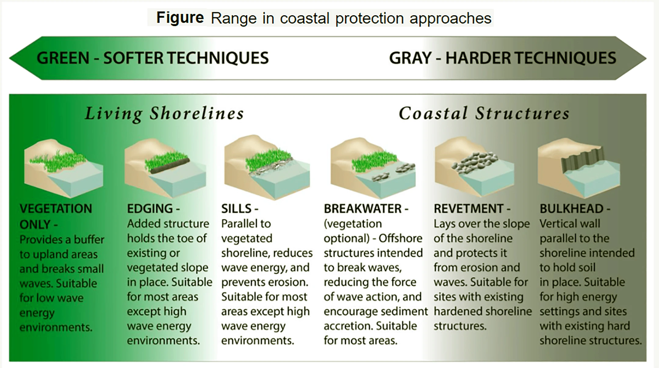 Coastal Adaptation Efforts