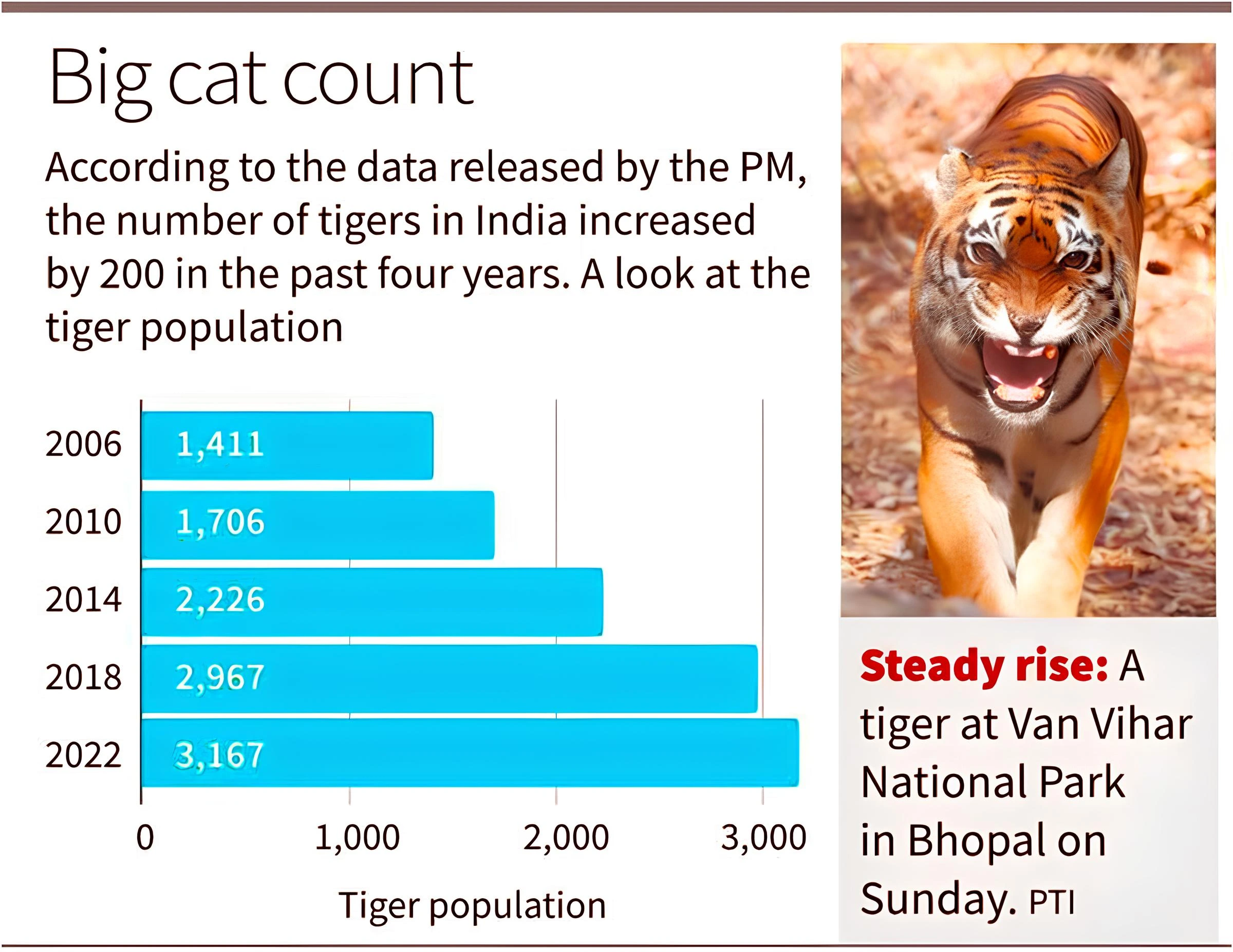 Project Tiger