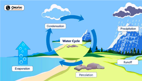 water cycle