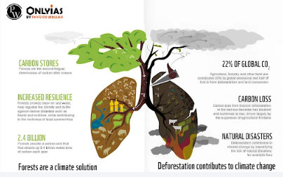 Importance of Forest