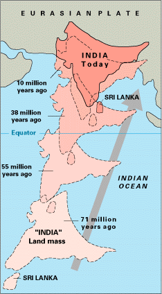 Plate Components: Geographical Features and Boundaries