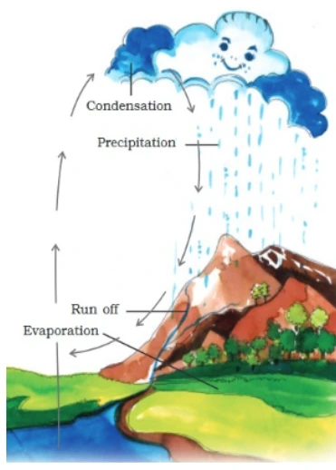 Water Cycle