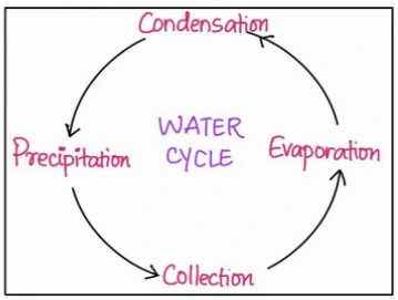 water cycle