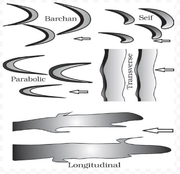 Various types of sand dunes. Arrows indicate wind direction.