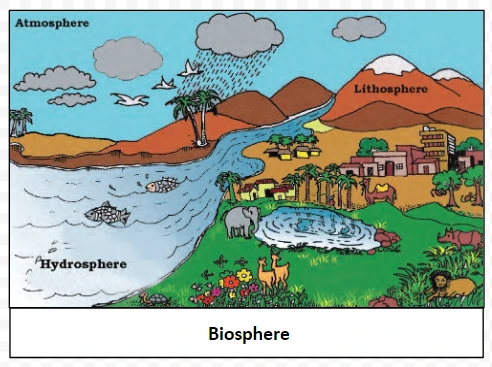 Biosphere