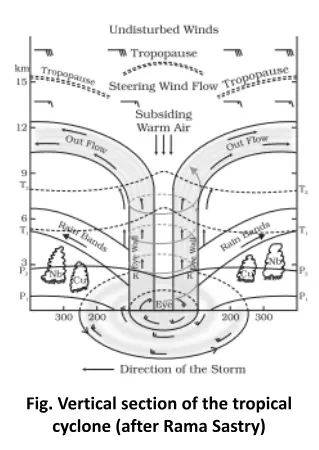 Vertical section of the tropical cyclone (after Rama Sastry)