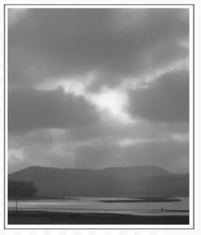 Cumulus Cloud