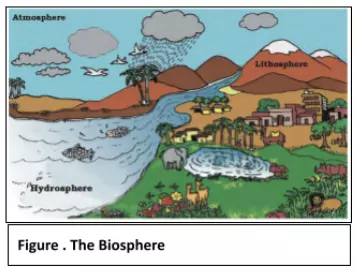 The Biosphere