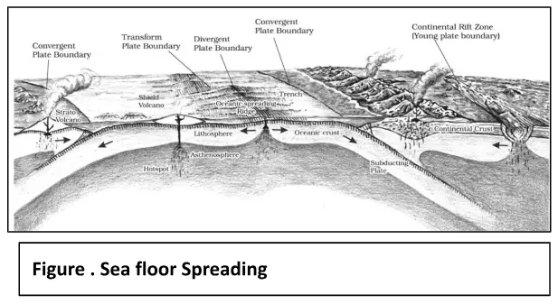 Sea floor Spreading