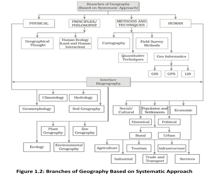 Branches og Geography