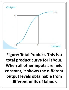 total production