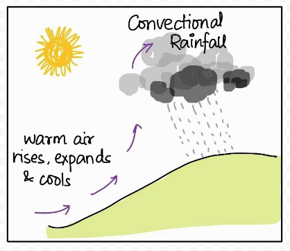 Exploring Hydrological Cycle Dynamics