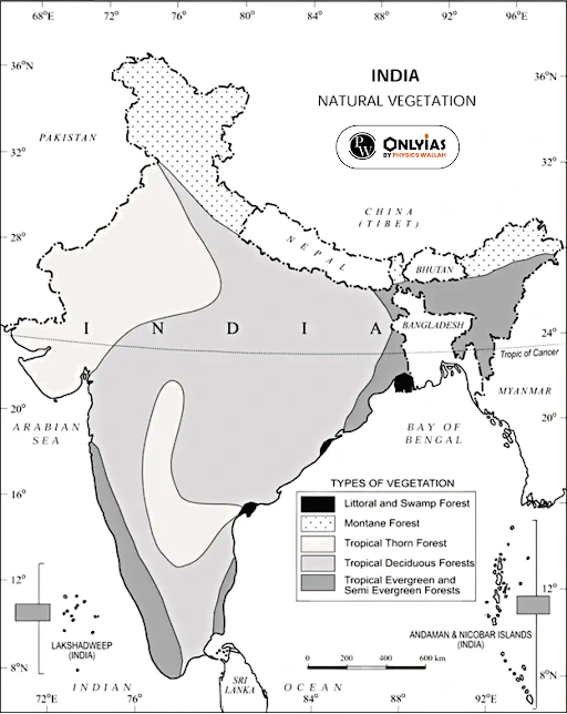 Forests in India