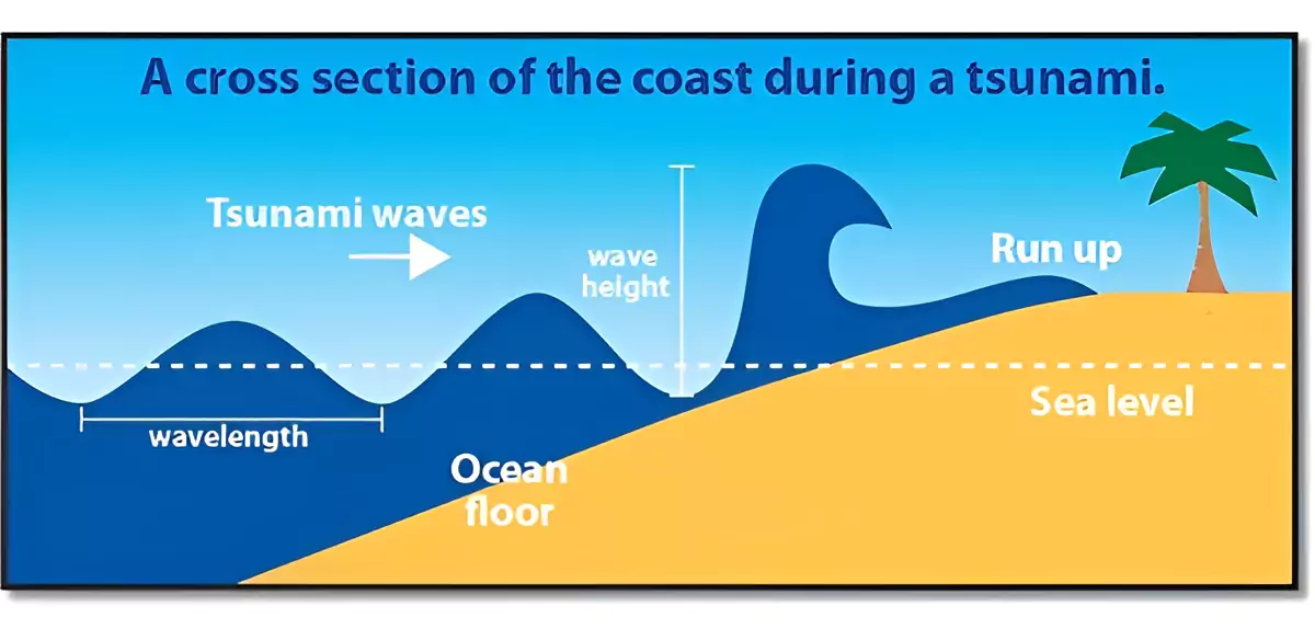 World Tsunami Awareness Day