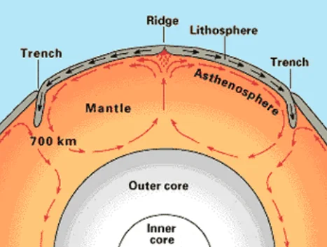 Convectional Current Theory: Arthur Holmes' Theory and Continental Drift Rejection