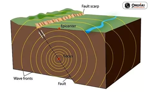 Seismic waves