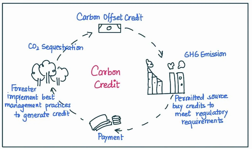 carbon credit