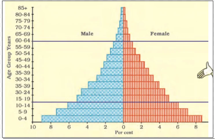 Population Pyramid