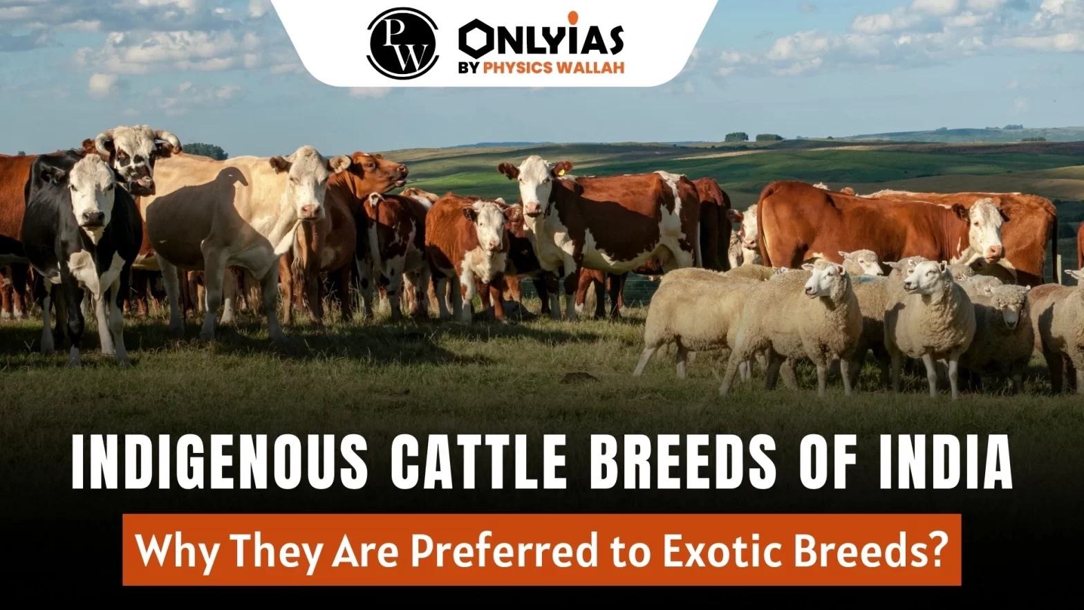 Indigenous Cattle Breeds of India: Why They Are Preferred to Exotic Breeds?