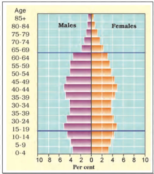 Population Pyramid of Japan