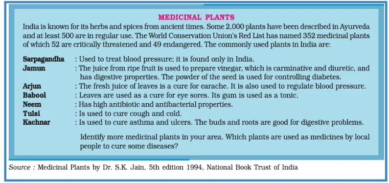 Medicinal Plants