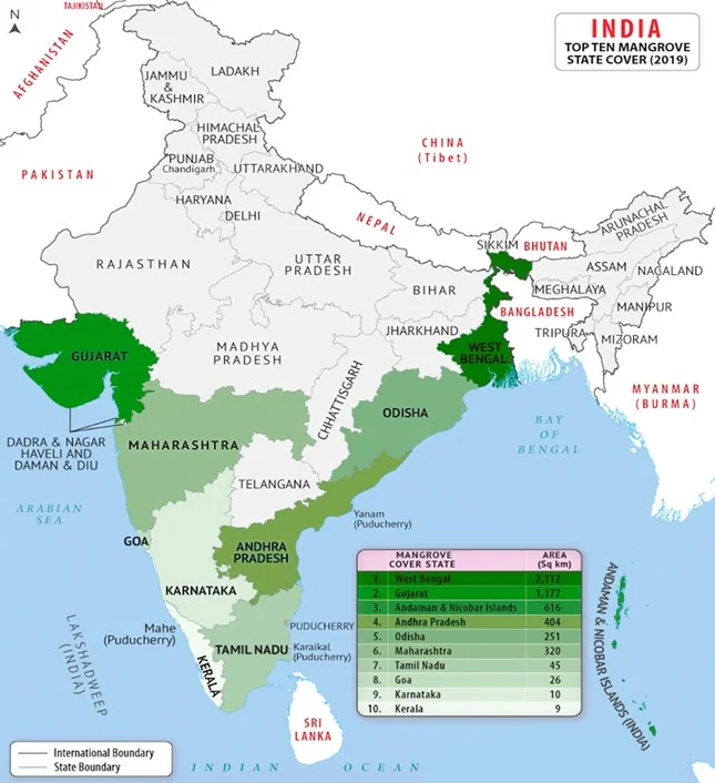 Mangroves cover state