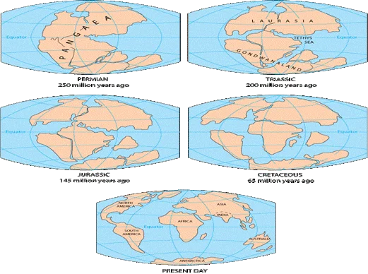 continental drift