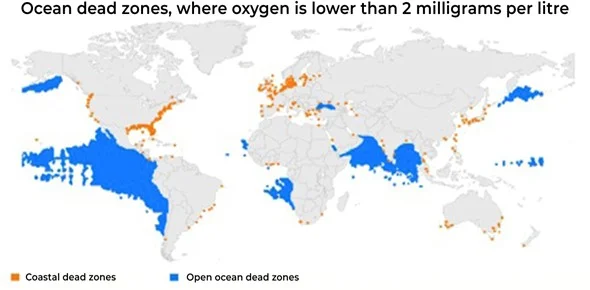 Ocean dead zones