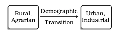 Demographic