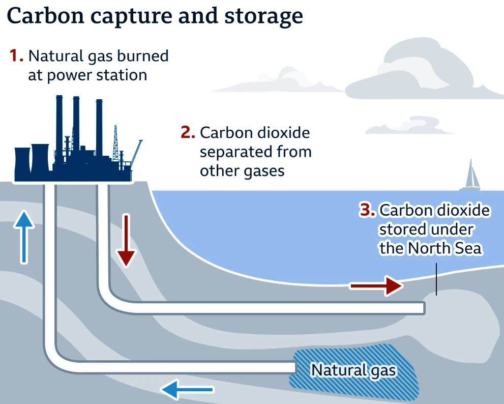 Carbon Capture Utilization and Storage