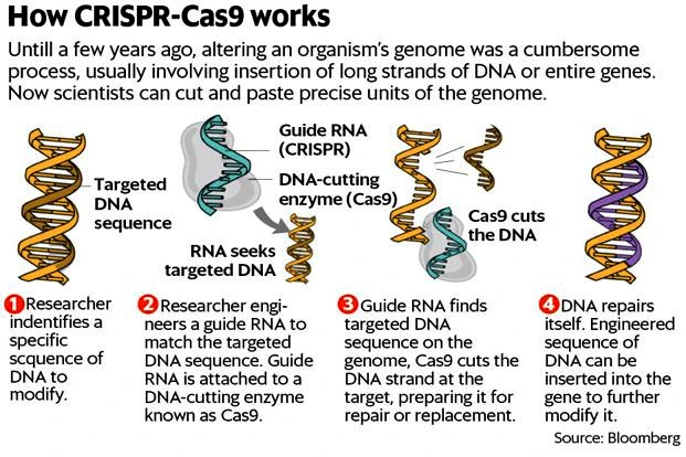 Gene Therapies to Treat Sickle Cell 