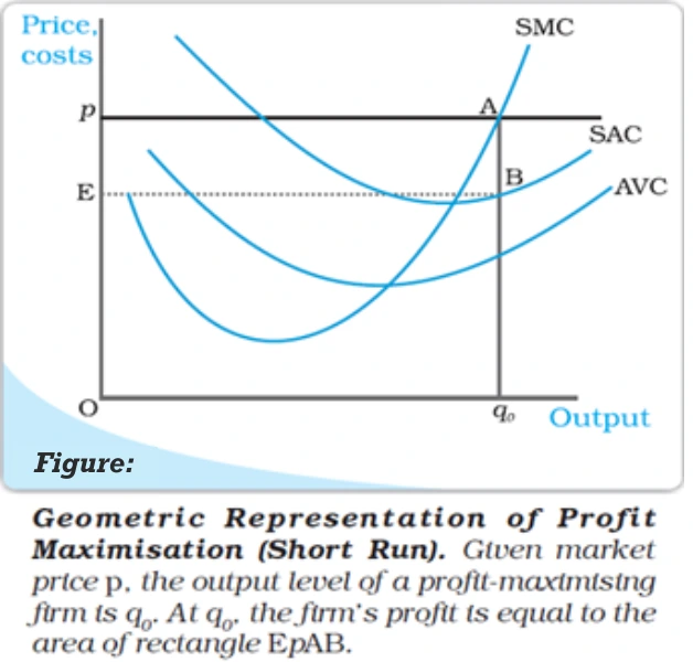 Geomatric representation with maximisation