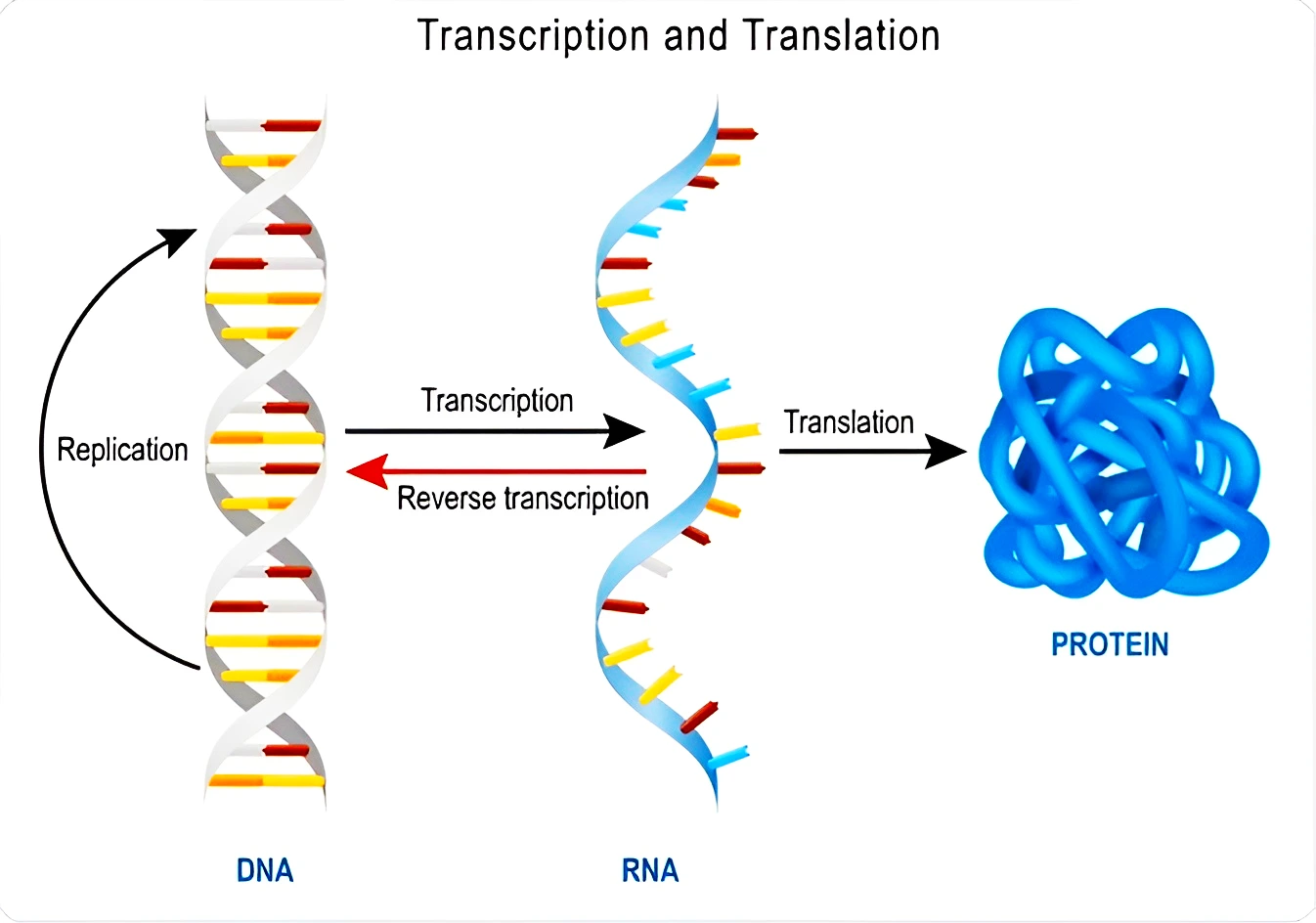 mRNA vaccine technology
