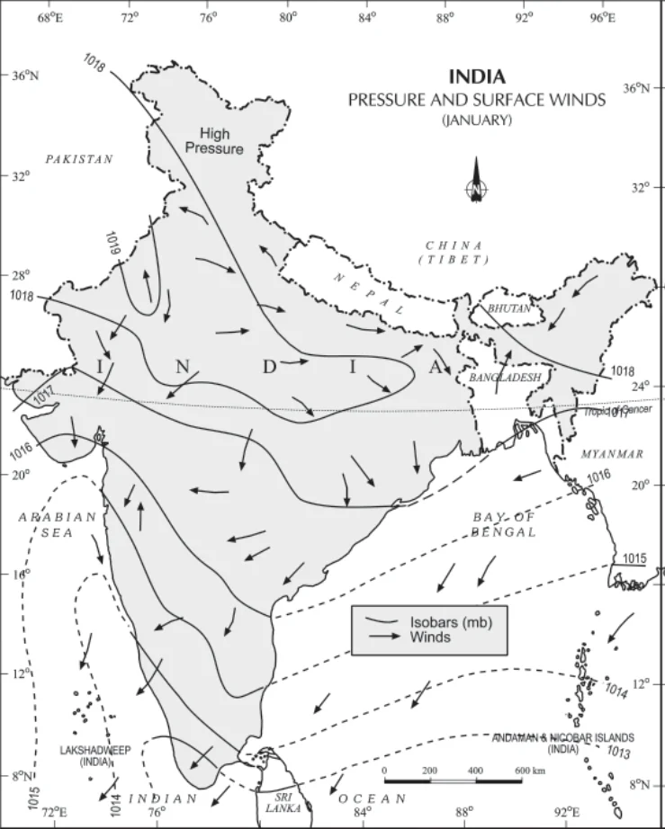 Pressure and Surface Winds (January)