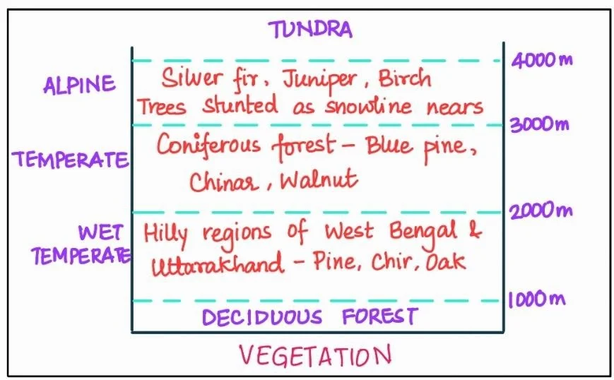 Tundra Vegetation