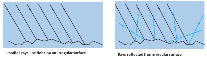 Second Law of Reflection: Plane of Reflection