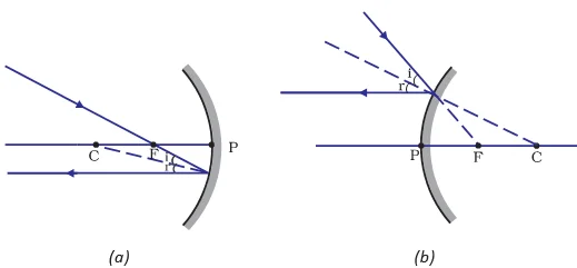 Spherical Mirrors