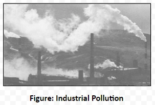 Industrial Pollution