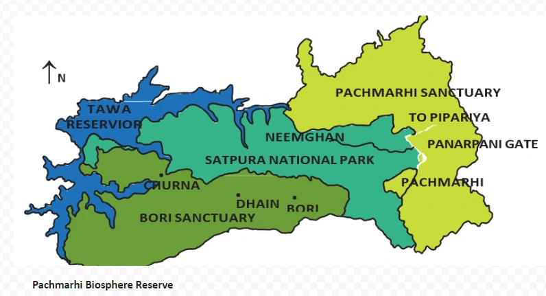 Government Initiatives and Protected Areas in the Conservation of Plants , Forests, and Wildlife