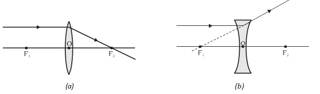 Spherical Lens Image Formation