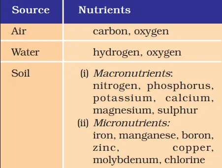 Nutrients