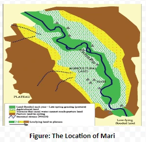 The Location of Mari