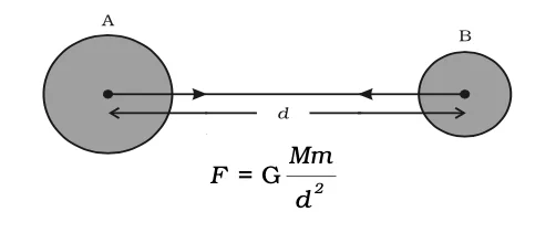 gravitational force