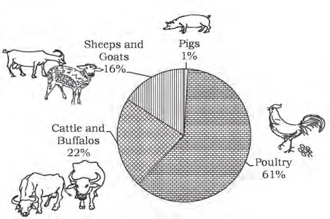 Distribution of Poultry and Livestock in India, 2019